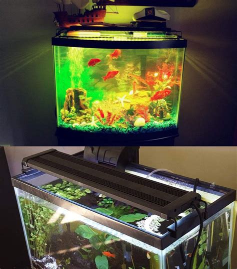 fish light|Aquarium Lighting: Fish Tank Lights & Aquarium Hoods .